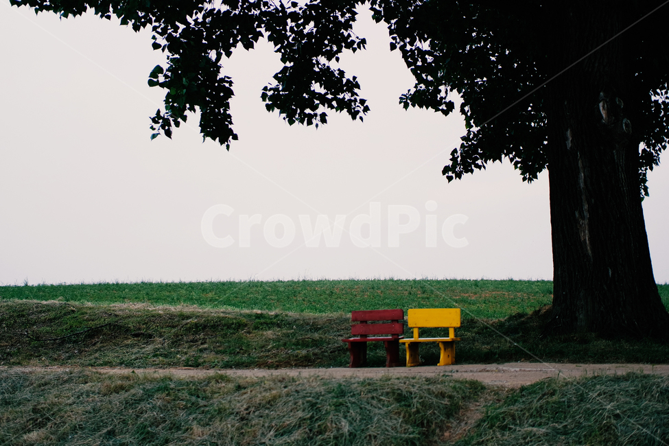 의자,숲,나무,초록색,green,chair,forest,휴식,rest,힐링,healing,감성,sensible,landscape,scenery,scene,view,풍경,sight,식물,plant,벤치,bench,빨강,노랑,red,yellow,잔디,grass
