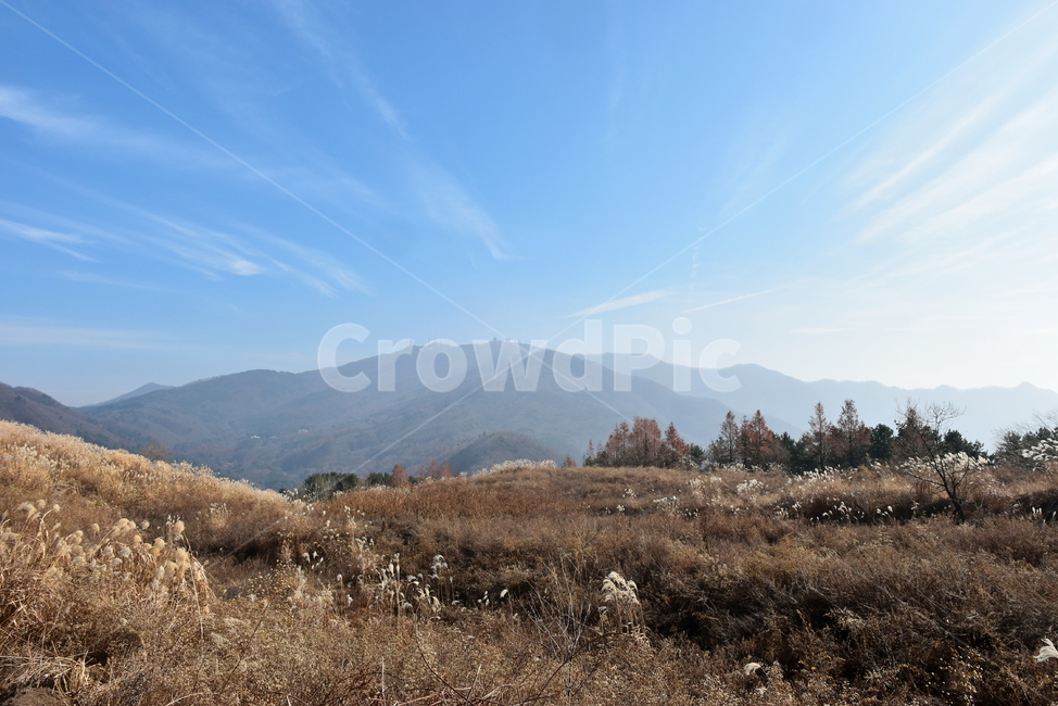 유명산,마유산,억새,가을,풍경,자연,하늘,감성,힐링,아름다운,구름,파란,가을,계절,fall,autumn,season,자연,풍경,nature,landscape,outdoors,옥외
