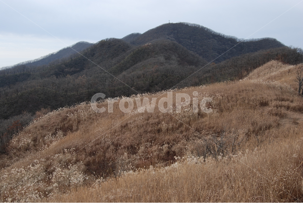 장안산,장수군,100대명산,등산로,능선,자연,풍경,nature,landscape,한국자연풍경,한국자연경관,korea nature landscape,outdoors,옥외,hill,언덕