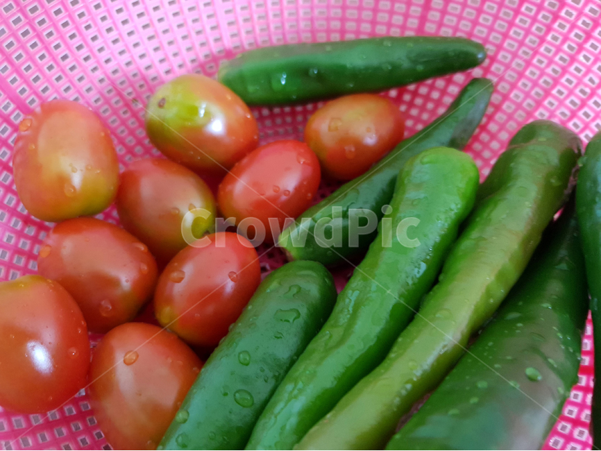 하우스재배,재배,고추,토마토,야채,채소,유기농,바구니,농작물,농사,음식,식재료,요리,food,cook,meal,dishes,food reserves,채소,야채,vegetables