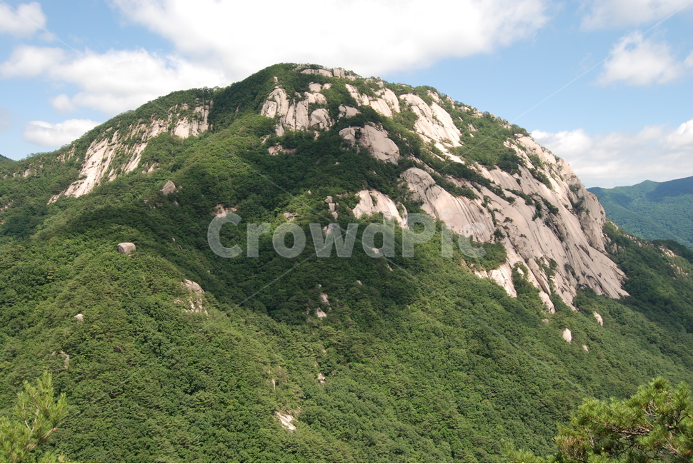 구왕봉,괴산,한국,등산로,자연,자연,풍경,nature,landscape,한국자연풍경,한국자연경관,korea nature landscape,outdoors,옥외,slope,경사,hill,언덕