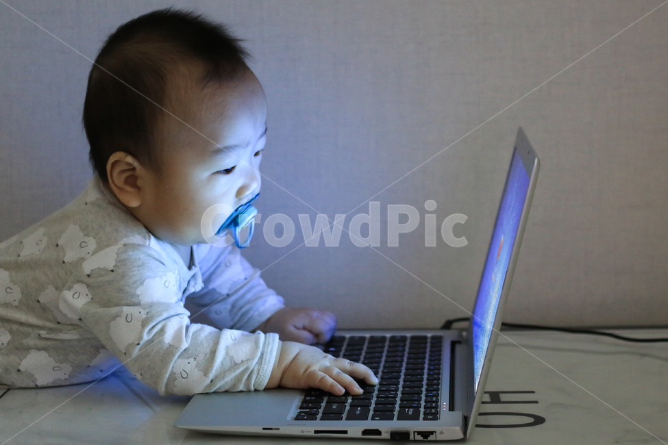 아기,애기,컴퓨터,노트북,집중,업무,야근,워라밸,타이핑,랩탑,유아,영아,귀여운,자판,타자,남자아이,남자아기,일,아들,작업,모니터,키보드,작은,어린,아가,인터넷,얼리어답터,사무직,아동,아동노동,사람,인물,인간,human,person,영유아,아기,애기,아이,infants,baby,정보통신기술,전자기기,전자제품,it,information,technology,electronic equipment