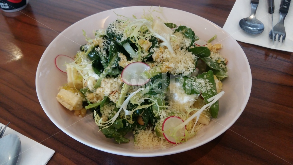 샐러드,점심,풀때기,다이어트,햇빛,음식,식재료,요리,food,cook,meal,dishes,food reserves