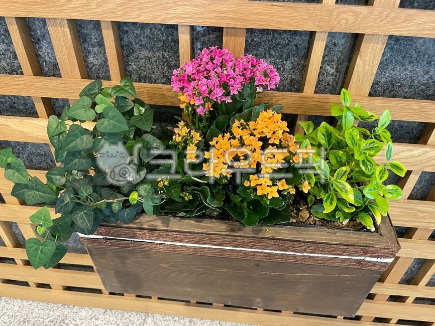 flower,꽃,flowerarrangement,wood,꽃다발,flowerbouquet,꽃꽂이,목재