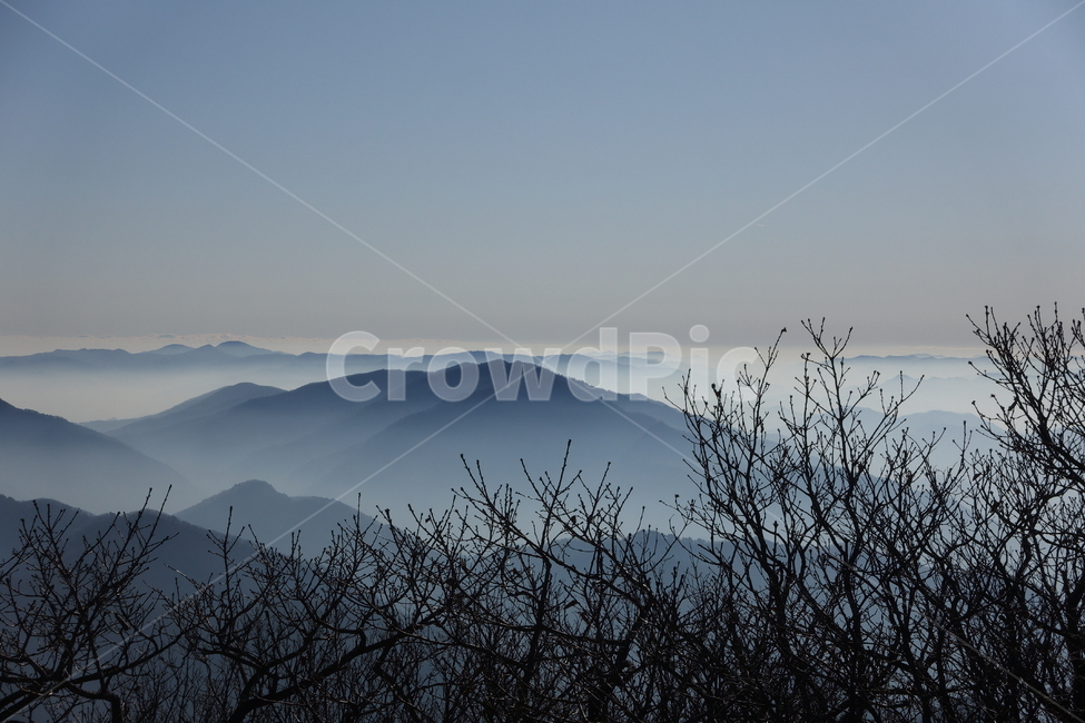 발왕산,산,정상,풍경,안개,운무,몽환적인,nature,자연,mountainrange,산맥,mountain,outdoors,옥외,자연,풍경,nature,landscape