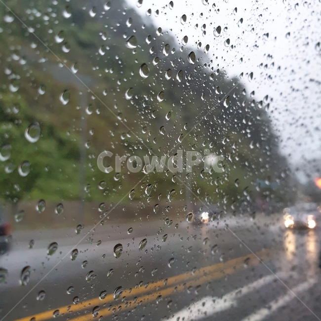 비,창밖,rain,풍경,도로,비,비오는날,rain,rainy