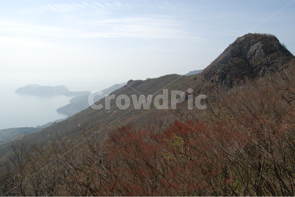 거제시,가라산,휴양림,탐방로,국립공원,자연,풍경,nature,landscape,한국자연풍경,한국자연경관,korea nature landscape,slope,경사,outdoors,옥외