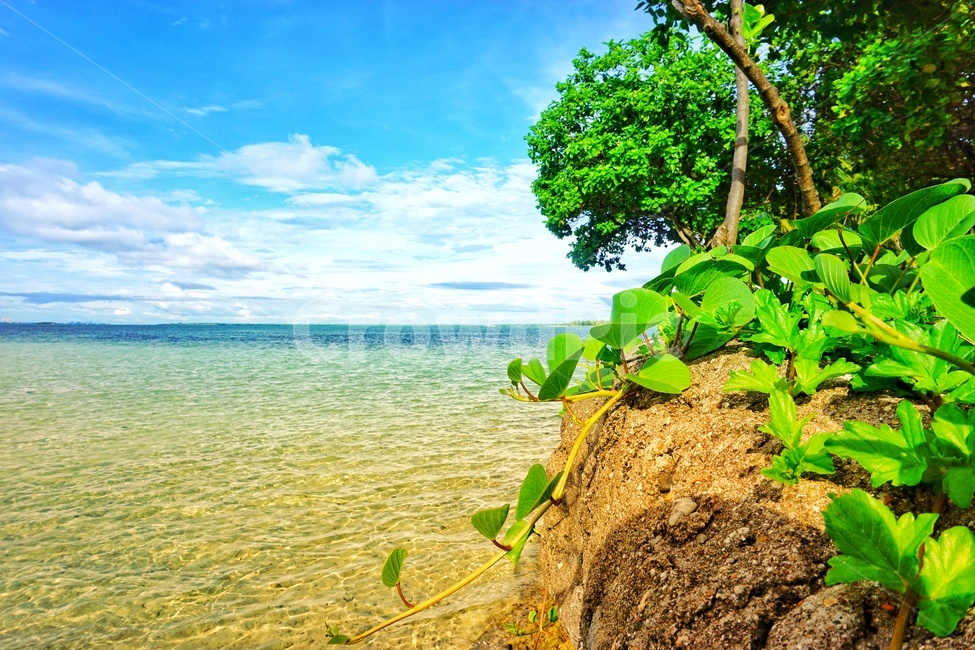 바다,하늘,세부,풀,구름,자연,풍경,nature,landscape,해외,외국,세계,foreign,oversea,world,세계자연풍경,해외자연풍경,외국자연풍경,world nature landscape,summer,여름