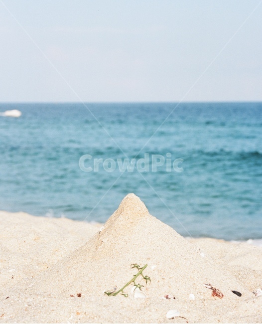 모래,바다,야외,outdoors,sand,해변,바다,beach,sea