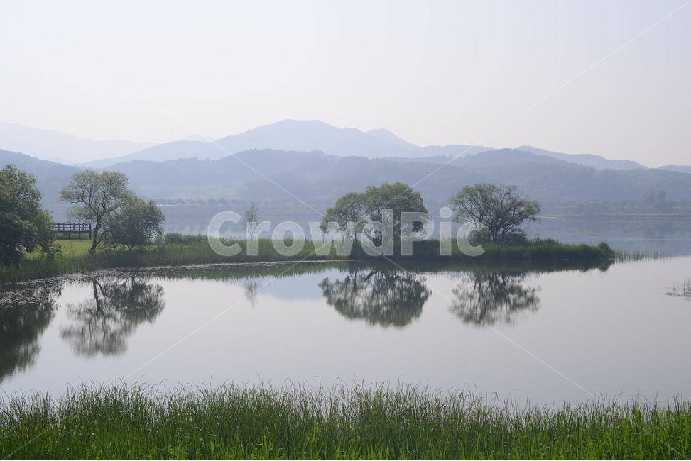 반영,물,강물,나무,자연,풍경,물의정원,reflex,초록,green,자연,풍경,nature,landscape,한국자연풍경,한국자연경관,korea nature landscape,water,outdoors,옥외