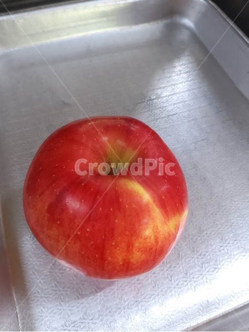 과일,사과,식물,음식,food,과일,열매,fruit