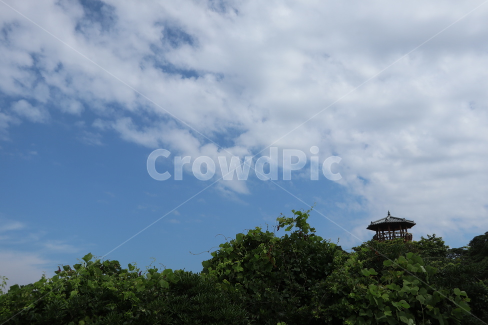정자,구름,푸른하늘,홀로,휴식,힐링,제주,제주도,jeju,자연,풍경,nature,landscape