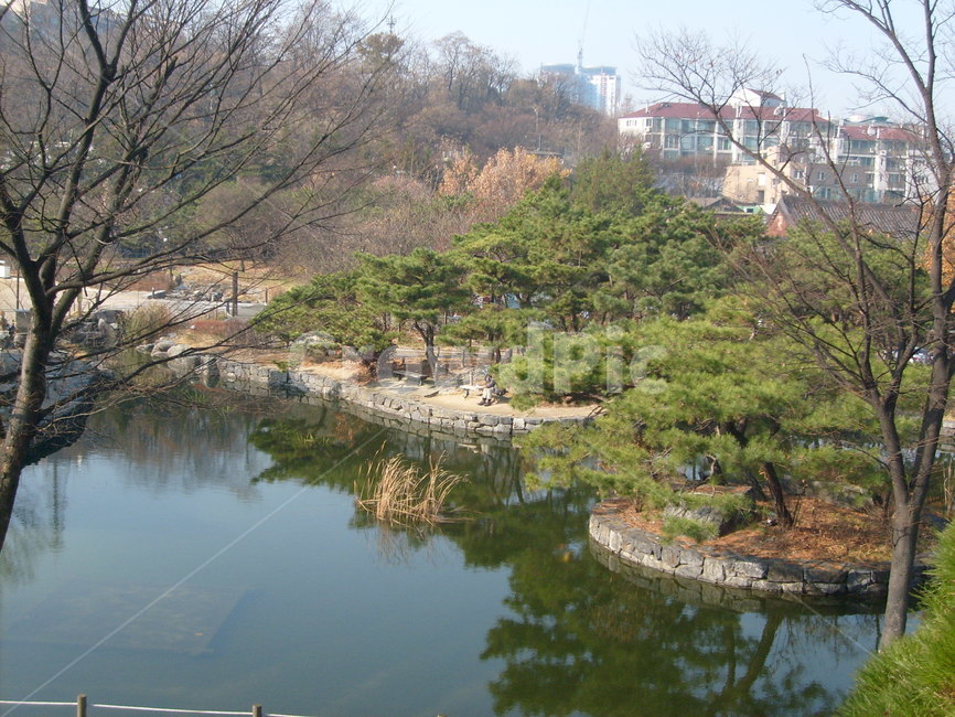 자연,풍경,landscape,nature,휴식,rest,season,남산,호수,가을,나무,힐링,자연,풍경,nature,landscape,water,물,outdoors,옥외