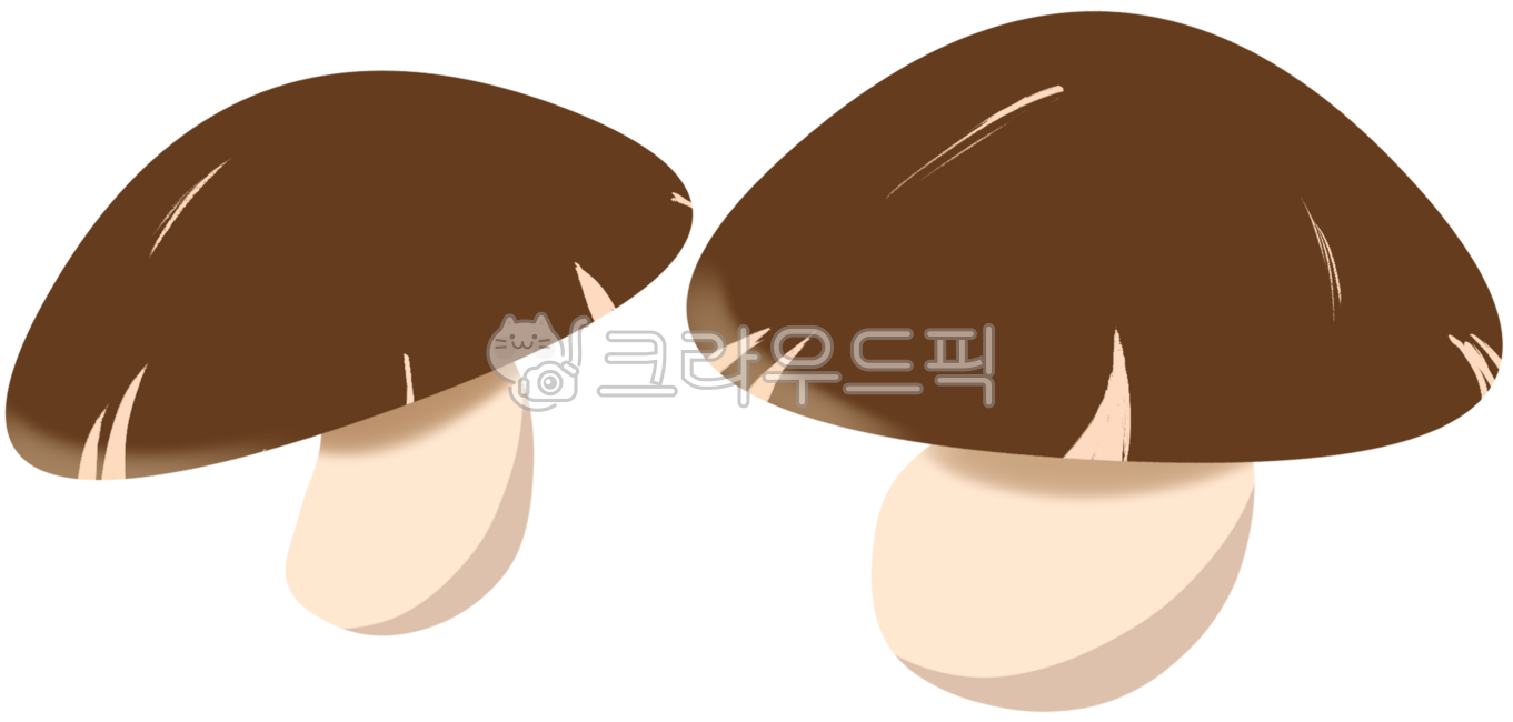 버섯,표고버섯,표고버섯일러스트,버섯일러스트,버섯그림,귀여운버섯