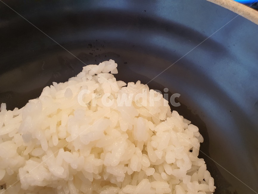 밥,rice,food,흰색,쌀,아침밥,점심밥,저녁밥,쌀밥,알맹이,알갱이,그릇,밥공기,한공기,찹쌀,음식,식재료,요리,food,cook,meal,dishes,food reserves