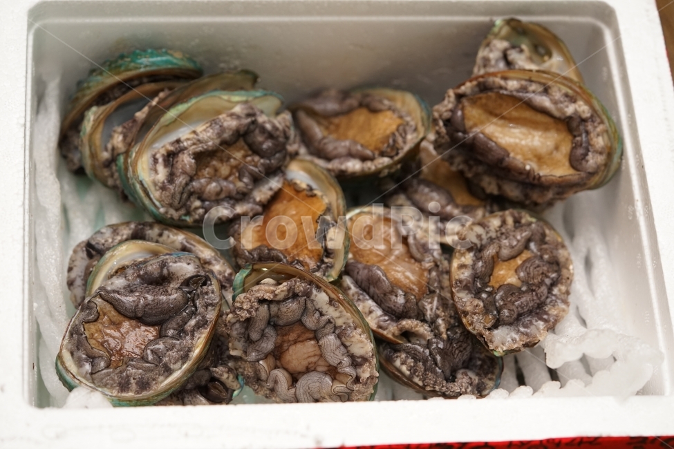 전복,해산물,먹거리,안주,술안주,생물,먹방,해물,씨푸드,바다,음식,seafood,푸드,안주거리,회,전복회,안주꺼리,소주안주,음식,식재료,요리,food,cook,meal,dishes,food reserves,수산물,해산물,fishery products,seafood