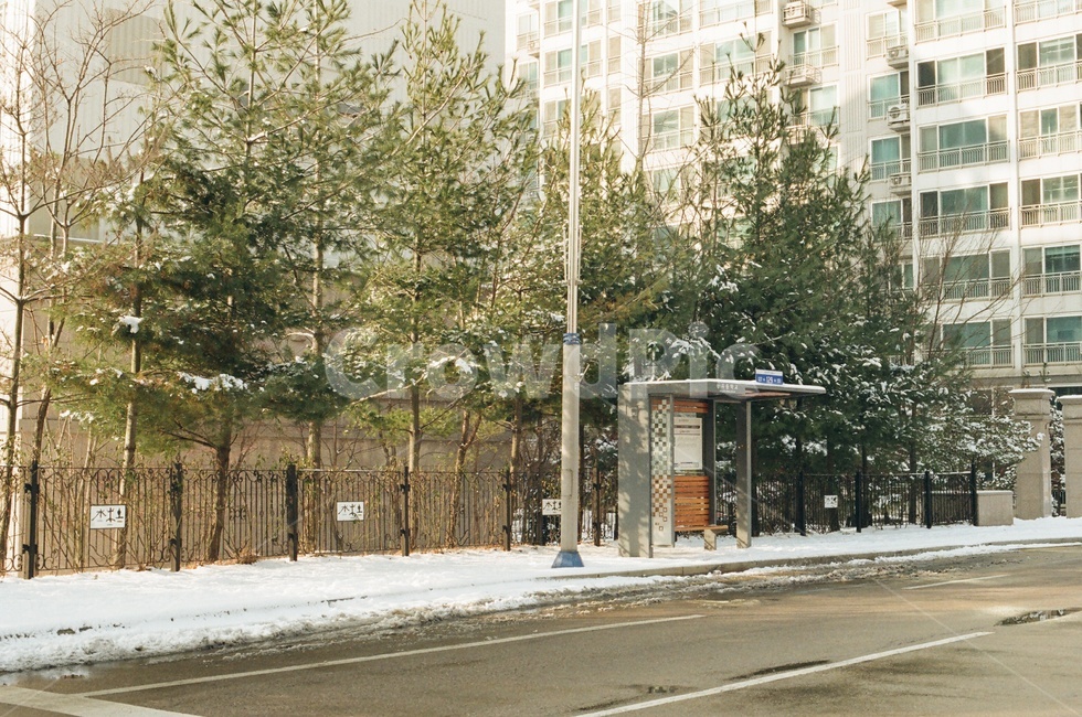 눈,겨울,자연,winter,snow,감성,거리,눈온거리,동네,고즈넉,조용한