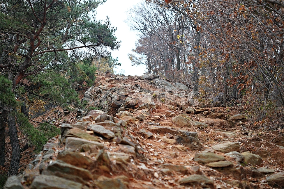 전등사,산성,성,성곽,길,둘레길,숲,숲길,담,돌담,가을,자연,풍경,식물,벽,방어벽,낙엽,단풍,가을,계절,fall,autumn,season,자연,풍경,nature,landscape