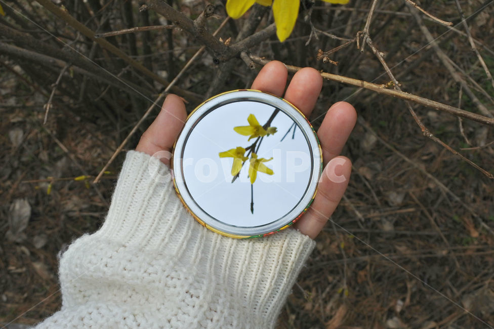 개나리,꽃,봄,손,사람,하늘,자연,spring,노랑,노란색,yellow,hand,people,손거울,거울,mirror,봄,계절,spring,season,식물,자연,plants,nature,꽃,flower,사람,인물,인간,human,person,신체일부,몸,body