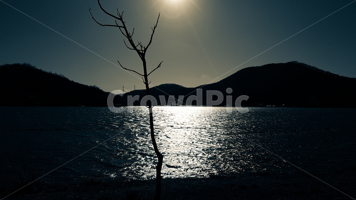 햇살,나무,물결,역광,금빛물결,그림자,산,sunshine,tree,wave,backlight,goldenwave,자연,풍경,nature,landscape,flare,플레어,light,빛,sunlight,햇빛,outdoors,옥외