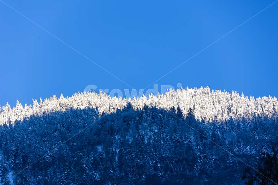 스위스,하늘,겨울,산,눈덮인,눈,숲,겨울,계절,winter,season,자연,풍경,nature,landscape,해외,외국,세계,foreign,oversea,world,세계자연풍경,해외자연풍경,외국자연풍경,world nature landscape,plant,식물,tree,나무,fir,전나무,abies,아비,outdoors,옥외,ice,빙