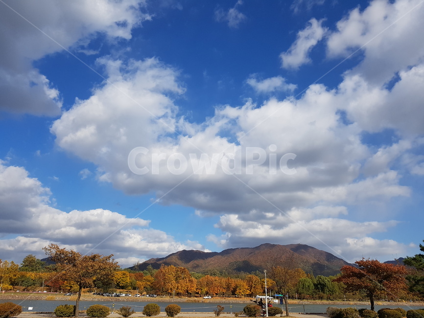 가을하늘,구름,단풍,풍경,가을,가을,계절,fall,autumn,season,자연,풍경,nature,landscape,weather,날씨,cloud,outdoors,옥외,cumulus,적운,sky,하늘