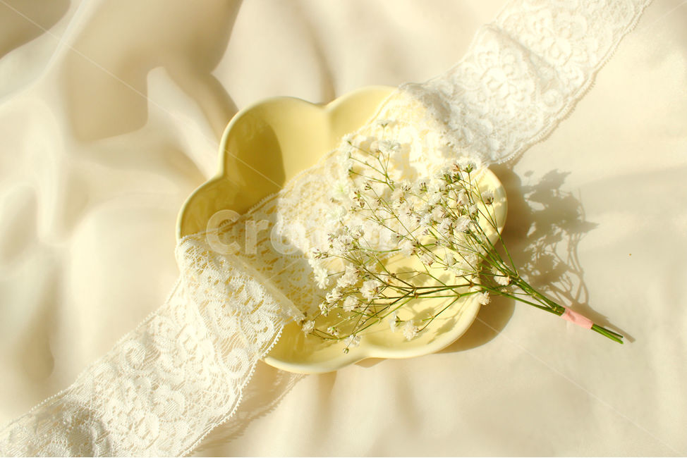 손,꽃,안개꽃,노랑,감성사진,그릇,노란색,하얀색,yellow,white,flower,flowers,레이스,접시,hand,사물,물건,오브젝트,thing,object,matter