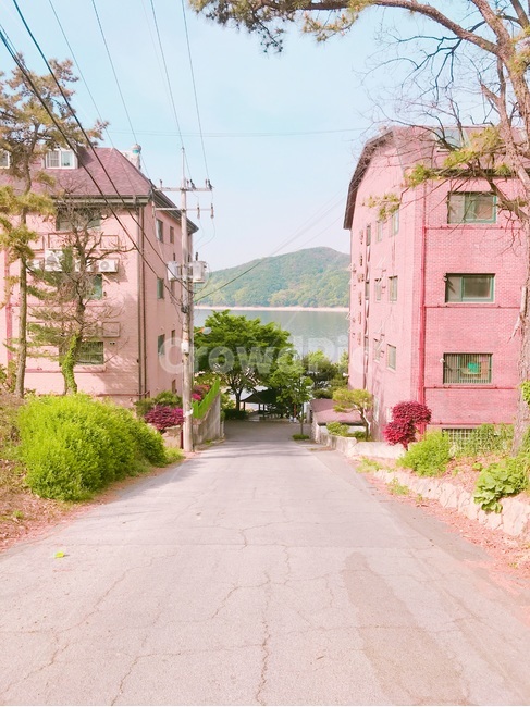 자연,풍경,산책,거리,동네