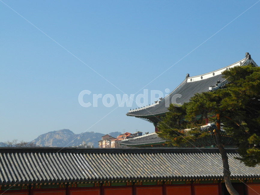 서울,궁,창덕궁,지붕,기와,용마루,잡상