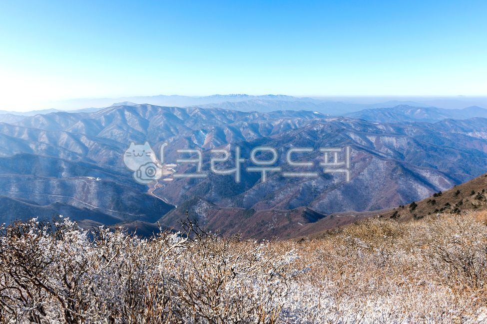 태백산,상고대,설경,겨울,겨울산,등산,야외,옥외,자연,계절,하늘,파란하늘,능선,산그리메