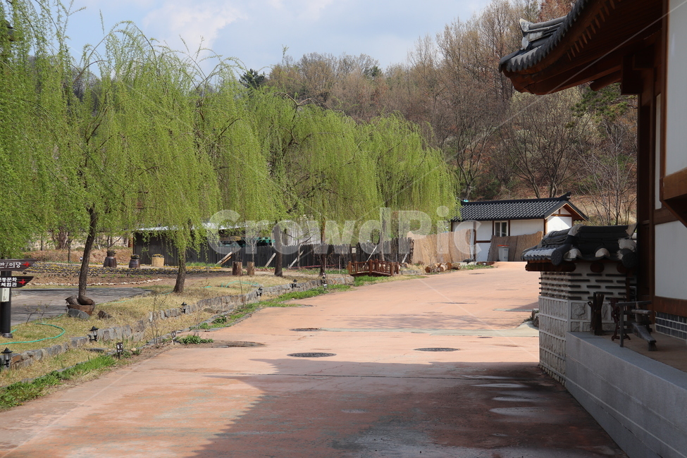 전주,전주한옥마을,봄,전통한옥,대한민국,한국전통,한국문화,korean traditional,korean culture,건축물,건물외관,exterior,building,structure,architecture,construction