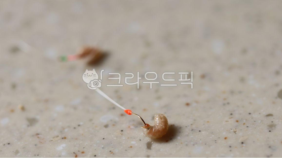 빙어낚시,낚시,빙어,겨울,얼음,빙어축제,낚시찌,icefishing,fishing,float,얼음구멍,구멍,hole,계절,winter,season,스포츠,레저,exercise