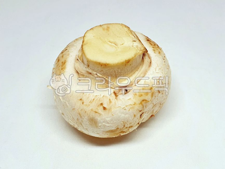 양송이버섯,식자재,buttonmushroom,ingredients,식재료,음식,채소,야채,vegetable
