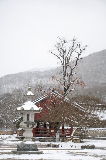 사진,단독사진,디자인,소스,포토,사진자료,배경,배경사진,백그라운드,한국,동양,아시아,접사,근접,자연,겨울,눈,얼음,경치,설경,Landscape,날씨,겨울배경,겨울풍경,풍경,눈풍경,한옥,지붕,사찰,전통가옥,기와,기와집,감,감나무,탑,석등,등,겨울,계절,winter,season,한국전통,한국문화,korean traditional,korean culture