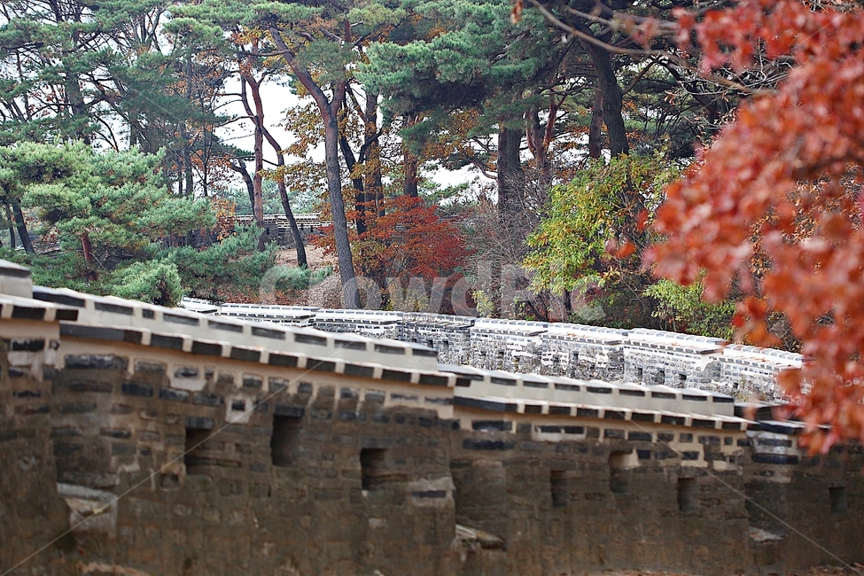 남한산성,성,성곽,단풍,낙엽,길,둘레길,숲,숲길,담,돌담,가을,자연,풍경,벽,울긋불긋,산성,식물,가을,계절,fall,autumn,season