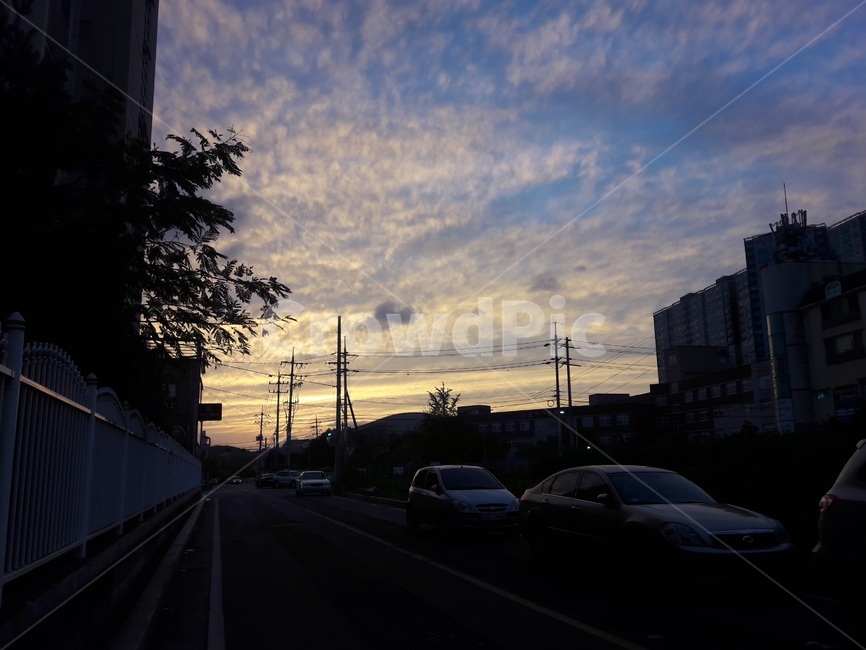 구름,하늘,여름,노을,전봇대,저녁,푸른,거리,도로,transportation,교통,vehicle,차량,차,car,automobile,자동차