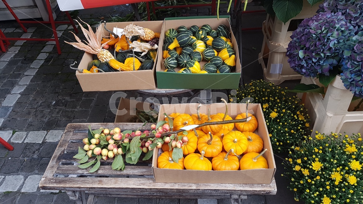 green pumpkin,Street,yellow pumpkin,stall,vegetable,pumpkin,flower