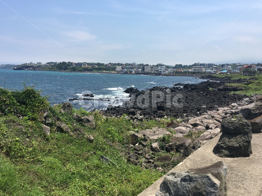 jeju,제주도,파도,잔디,해변가