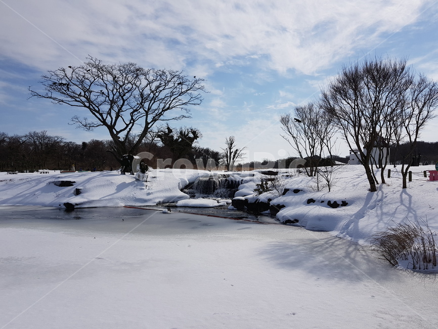 winter nature,Jeju Island Winter,nature,winter,winter lake