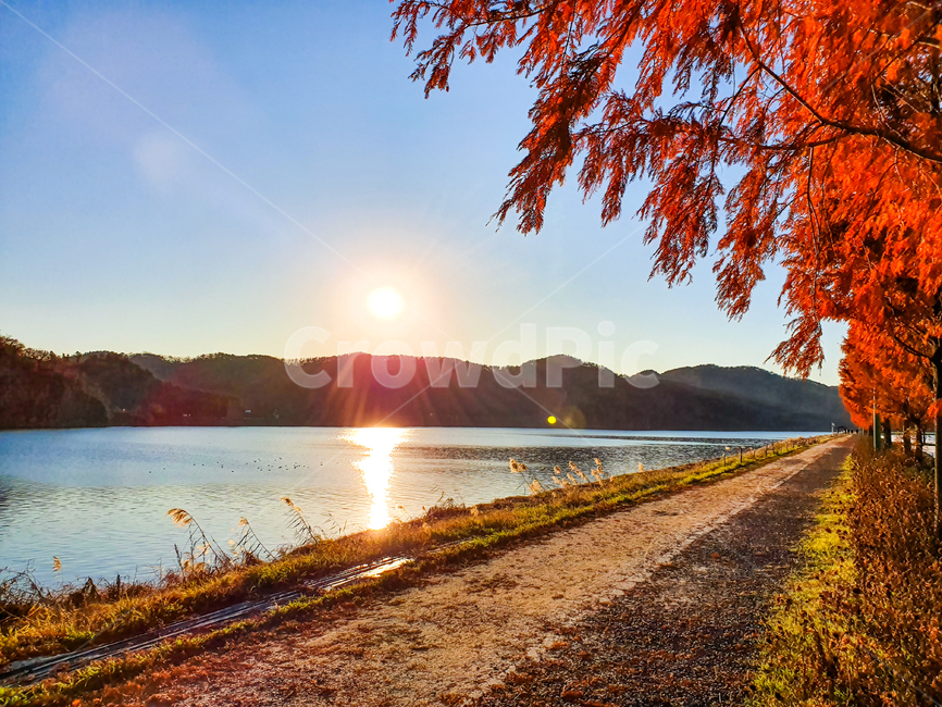 road,도로,gravel,자갈,dirtroad,흙길,노을,낙동강,자연,풍경
