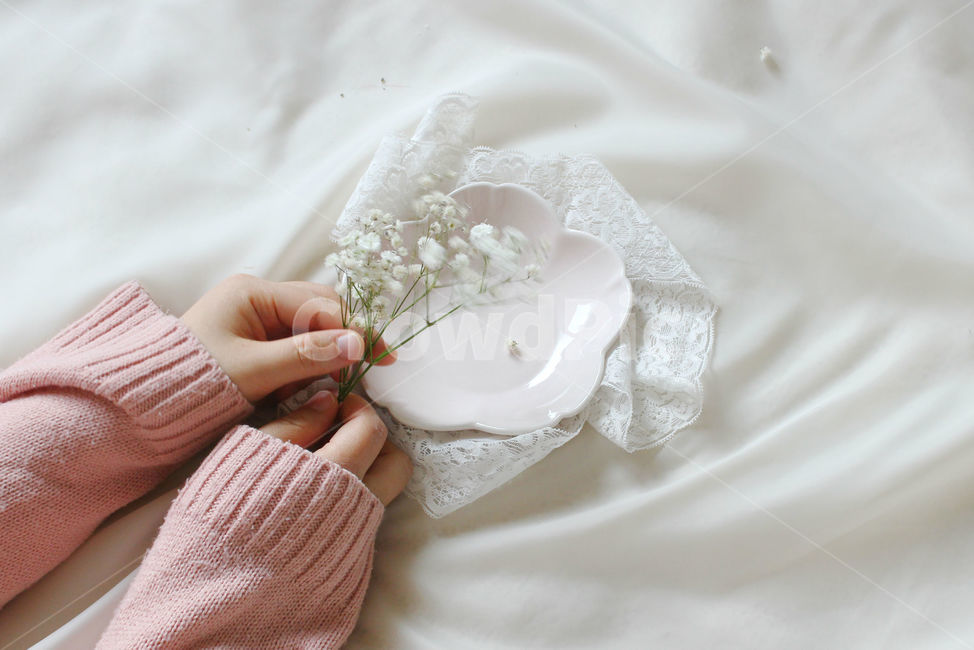 손,꽃,안개꽃,분홍,감성사진,그릇,분홍색,하얀색,pink,white,flower,flowers,레이스,접시,hand,꽃,flower,사람,인물,인간,human,person,신체일부,몸,body,연출,컨셉,콘셉,direction,concept