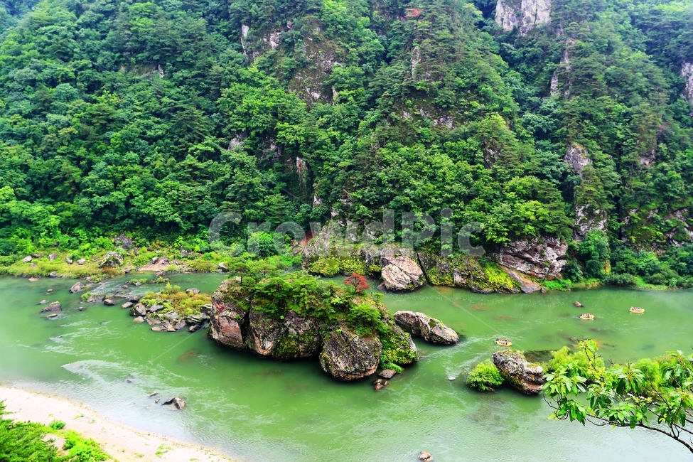 자연,어라연,동강,물,강,레프팅,자연,풍경,nature,landscape,한국자연풍경,한국자연경관,korea nature landscape,plant,식물,vegetation,초목
