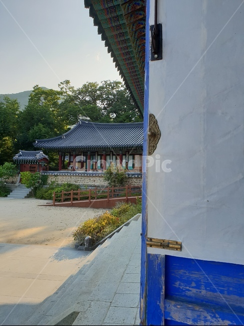 한국불교사원,직지사,문양,전통,배경,아트,종교,불교,색감,화려함,아름답다,koreantradition,religion,beautiful,koreanbuddhism,문,문종이,한국전통,한국문화,korean traditional,korean culture,종교,신앙,religion,belief,faith