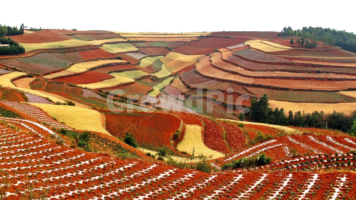 nature,자연,outdoors,옥외,landscape,경치,plateau,고원,scenery,풍경,hill,언덕,field,들,중국,운남성,홍토지,운남홍토지,비경,패턴,자연,풍경,nature,landscape,해외,외국,세계,foreign,oversea,world,세계자연풍경,해외자연풍경,외국자연풍경,world nature landscape