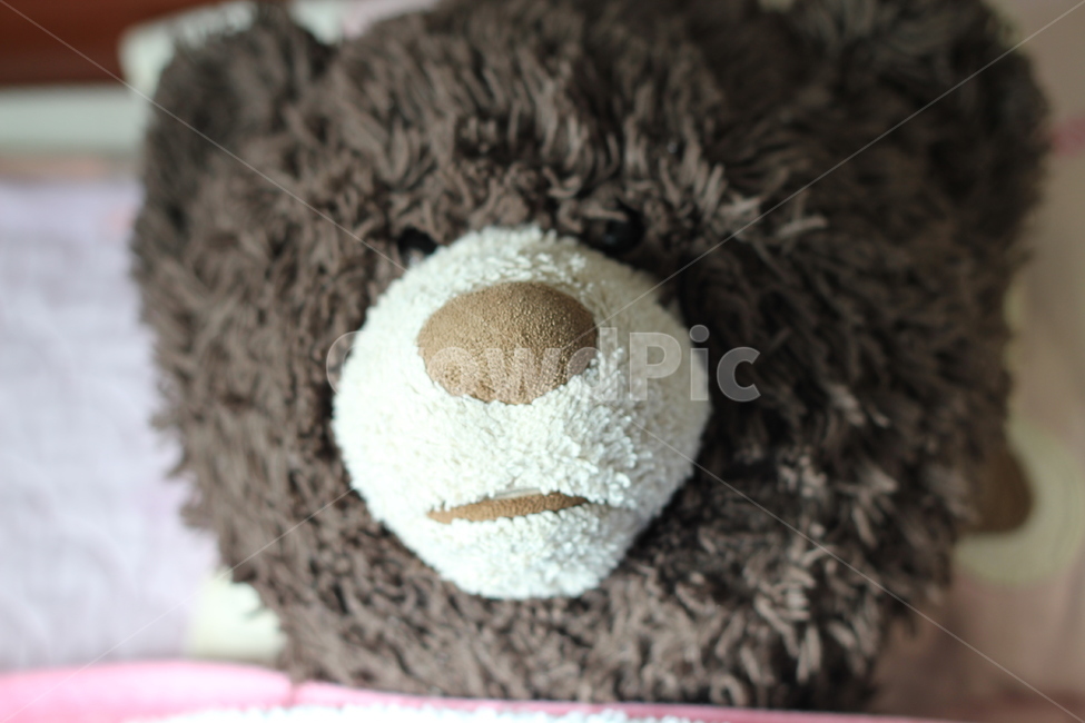 곰,곰인형,인형,완구,장난감,어린이,사물,물건,오브젝트,thing,object,matter