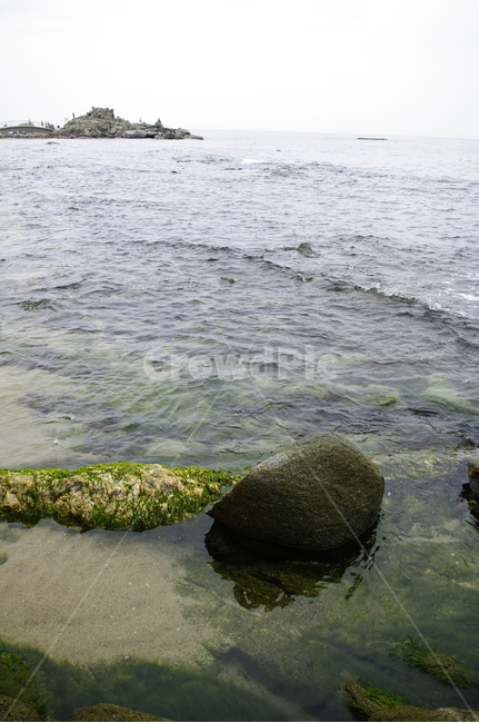 바다,해안,물결,바위,섬,풍경,자연,풍경,nature,landscape,plant,식물,algae,조류