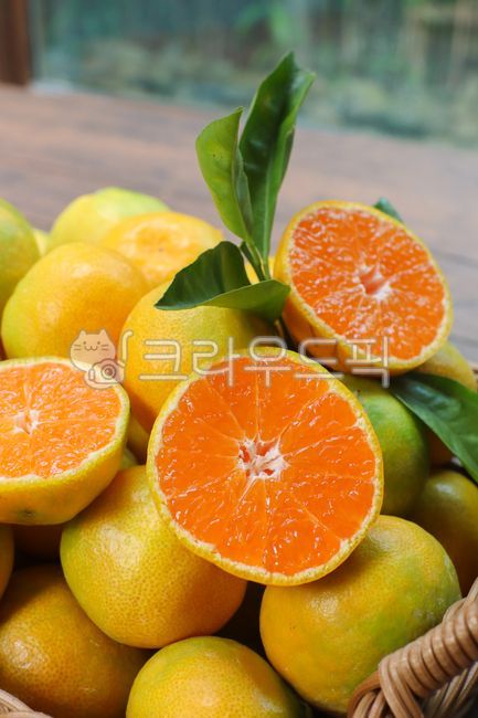 mandarin,citrus fruits,fruit,fruit basket,Orange,food,tangerines,citrusfruit,orange,grapefruit,Jeju Tangerine,cross section of fruit