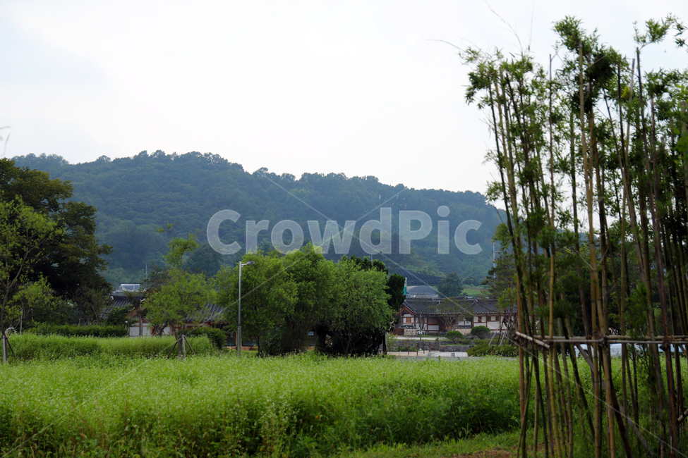 outdoors,옥외,nature,자연,충청남도,논산,돈암서원,서원,한옥,한옥마을,유교,송준길,송시열,김집,김장생,충남