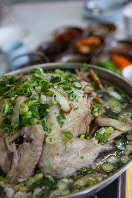 백숙,한약,삼계탕,건강한,요리,식사,음식,식재료,요리,food,cook,meal,dishes,food reserves,한식,한국음식,한국요리,korean food,korean dishes,korean meal,korean cook