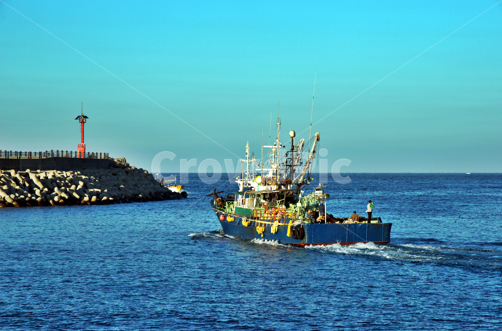 제주도,어선,고깃배,출항,방파제,등대,어업,fishery,fishing industry